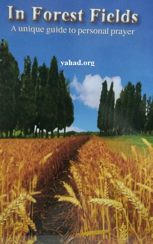 "In Forest Fields "A unique guide to personal prayer