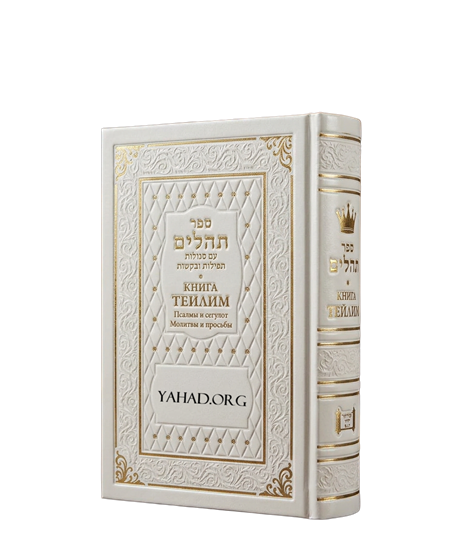 Книга Теилим Псалмы царя Давида с транслитерацией. Белый. Сегулот - СРЕДНИЙ формат