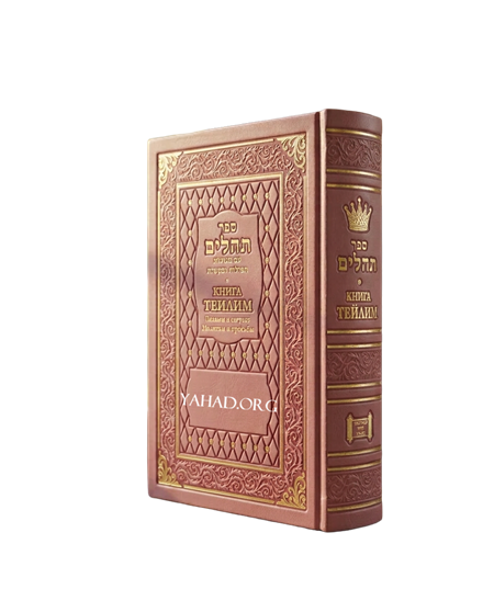Книга Теилим Псалмы царя Давида с транслитерацией. Сегулот - СРЕДНИЙ формат