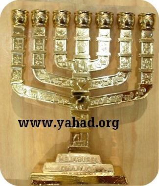 חנוכיה 3